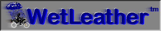 WetLeather logo